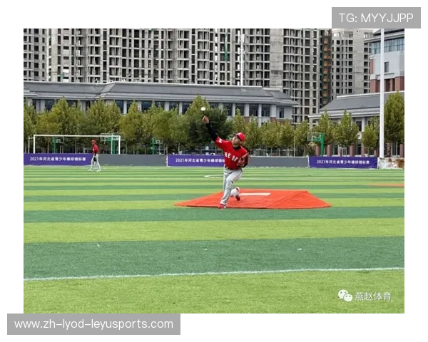 青少年棒球运动员核心素养培养路径及成长模型